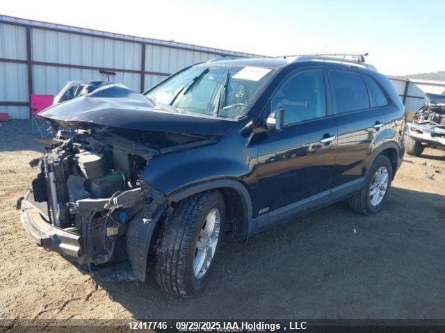 5XYKTDA74FG553627 2015 KIA SORENTO photo no. 3