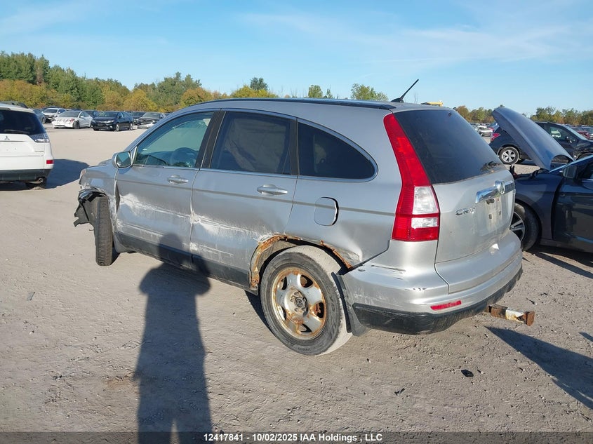 5J6RE4H5XAL806258 2010 HONDA CR-V photo no. 3