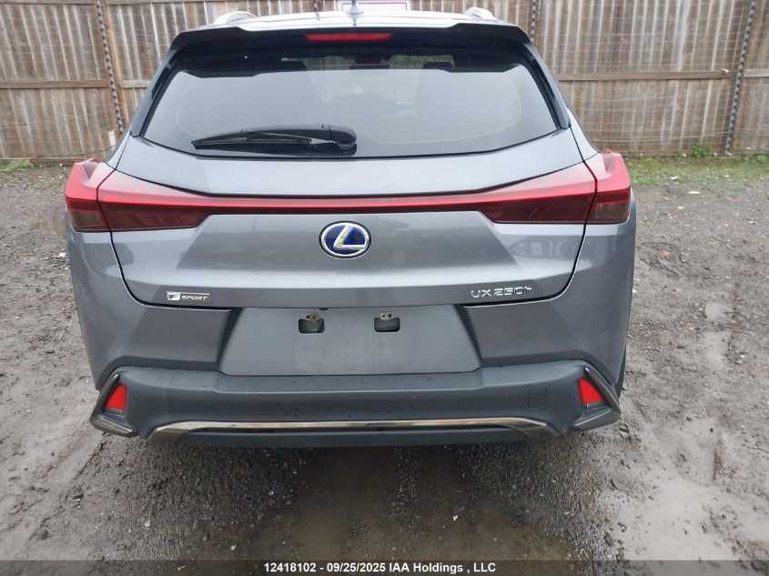 2019 Lexus Ux 250H VIN: JTHU9JBH8K2006702 Lot: 12418102