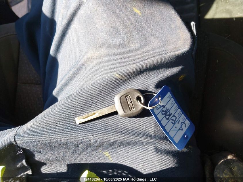 2019 GMC Sierra 1500 VIN: 1GTR9AEF4KZ359365 Lot: 12418204