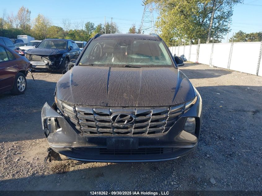 2023 Hyundai Tucson Hybrid VIN: KM8JCCA11PU100644 Lot: 12418262