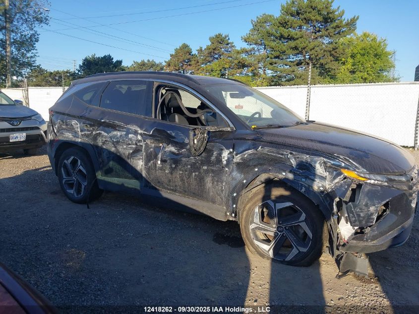 2023 Hyundai Tucson Hybrid VIN: KM8JCCA11PU100644 Lot: 12418262
