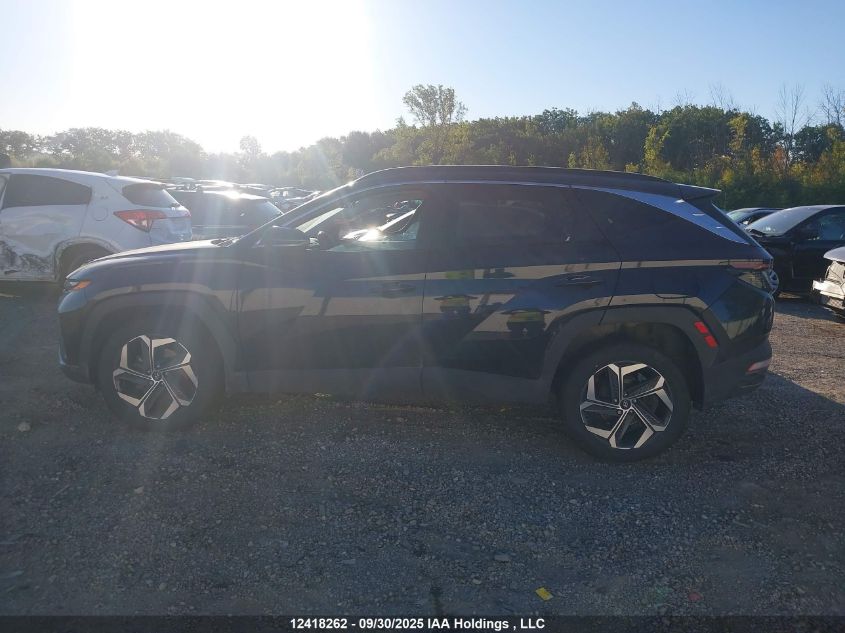 2023 Hyundai Tucson Hybrid VIN: KM8JCCA11PU100644 Lot: 12418262