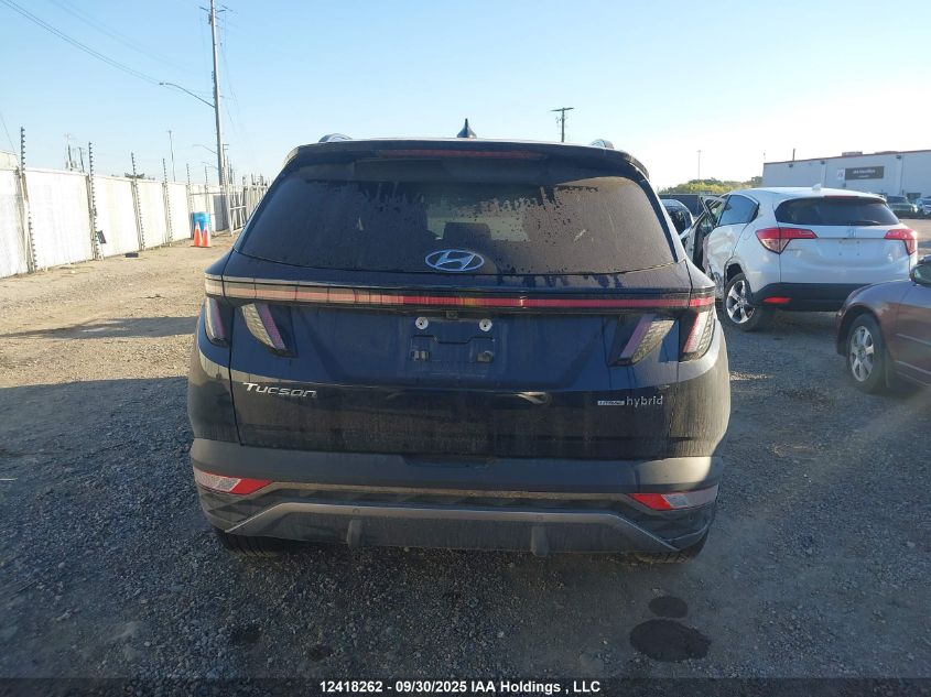 2023 Hyundai Tucson Hybrid VIN: KM8JCCA11PU100644 Lot: 12418262