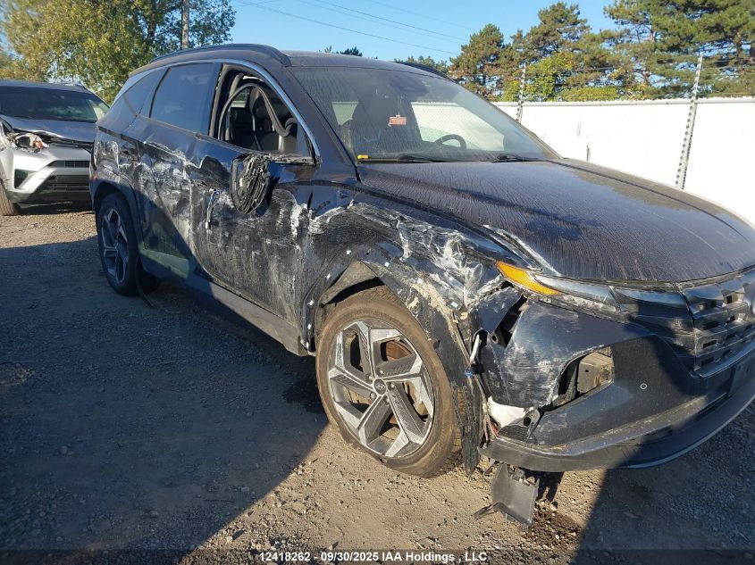 2023 Hyundai Tucson Hybrid VIN: KM8JCCA11PU100644 Lot: 12418262