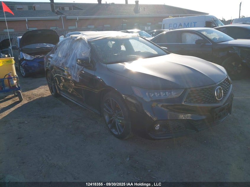 19UUB1F65KA800272 ACURA TLX Photo 1