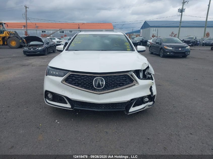 2020 Acura Tlx A-Spec VIN: 19UUB3F40LA800210 Lot: 12418478