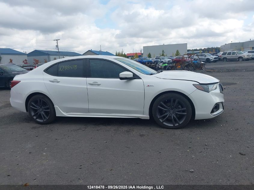 2020 Acura Tlx A-Spec VIN: 19UUB3F40LA800210 Lot: 12418478