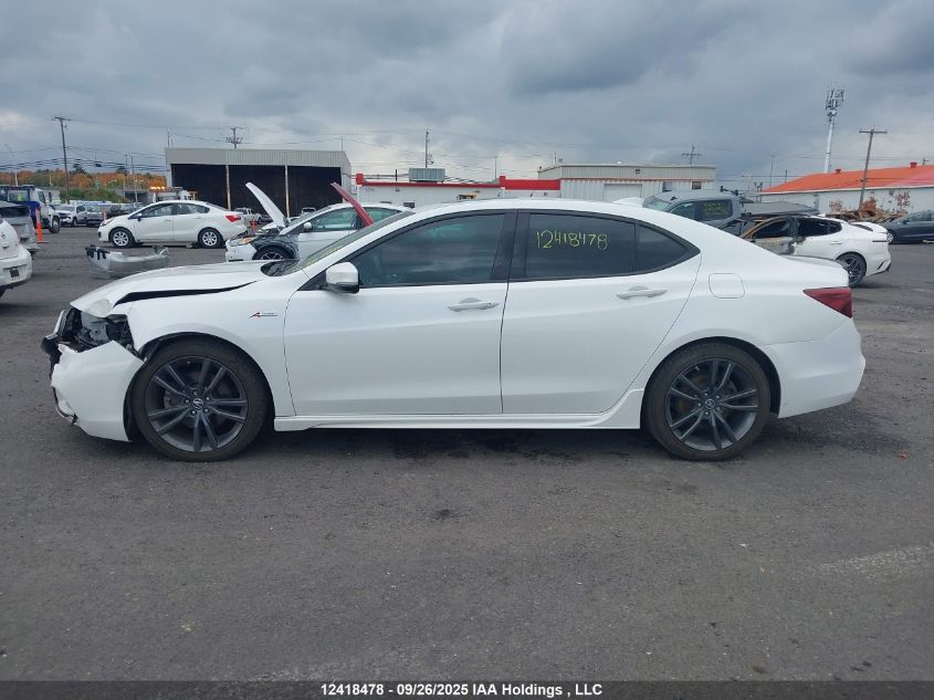 2020 Acura Tlx A-Spec VIN: 19UUB3F40LA800210 Lot: 12418478
