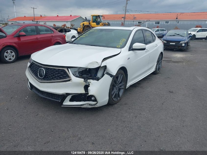 2020 Acura Tlx A-Spec VIN: 19UUB3F40LA800210 Lot: 12418478