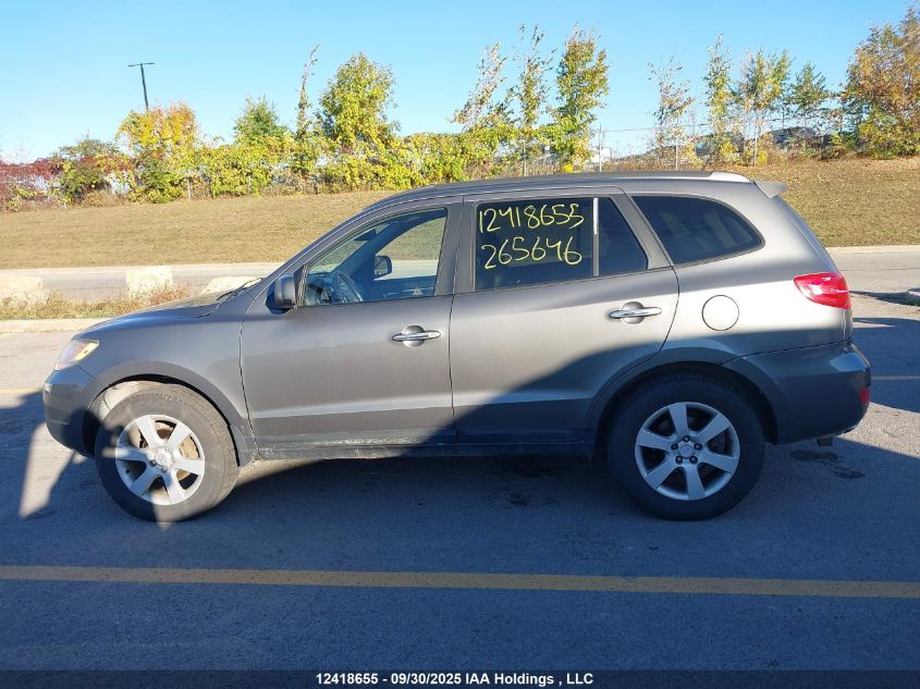 2009 Hyundai Santa Fe VIN: 5NMSH73E29H265646 Lot: 12418655
