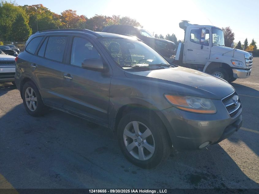 2009 Hyundai Santa Fe VIN: 5NMSH73E29H265646 Lot: 12418655