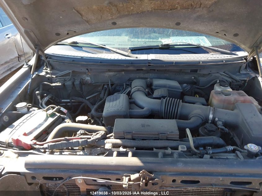 2010 Ford F-150 VIN: 1FTFW1EV0AFD44753 Lot: 12419038