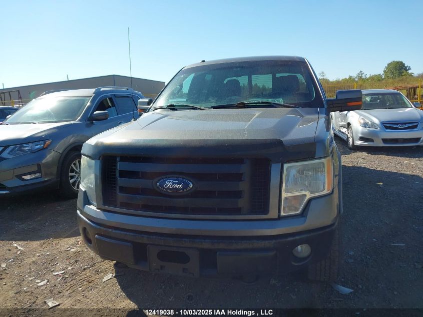 2010 Ford F-150 VIN: 1FTFW1EV0AFD44753 Lot: 12419038