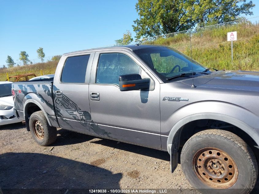 2010 Ford F-150 VIN: 1FTFW1EV0AFD44753 Lot: 12419038