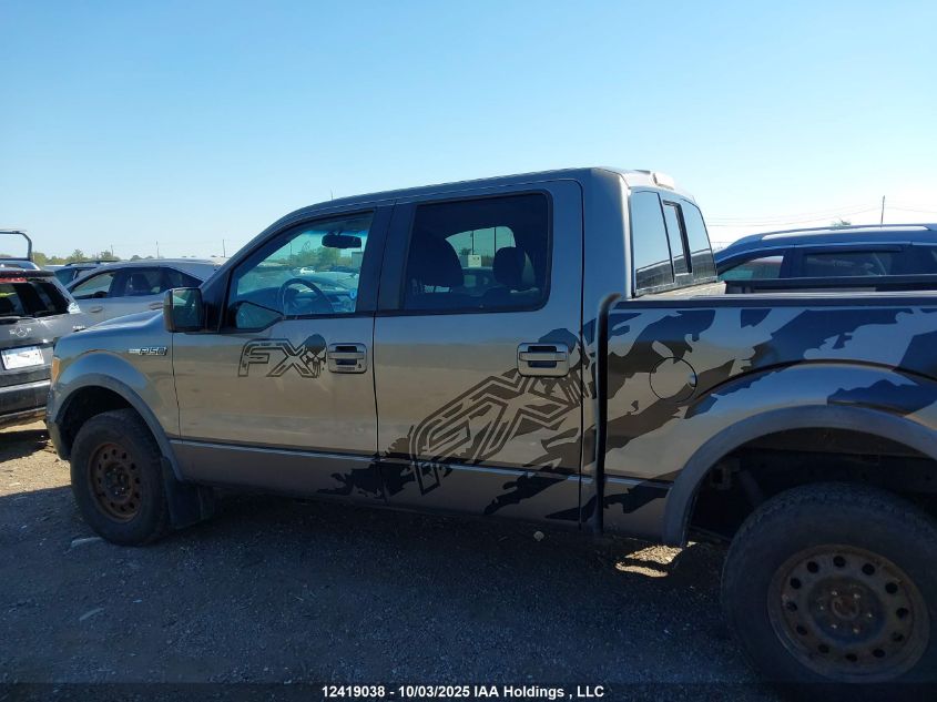 2010 Ford F-150 VIN: 1FTFW1EV0AFD44753 Lot: 12419038