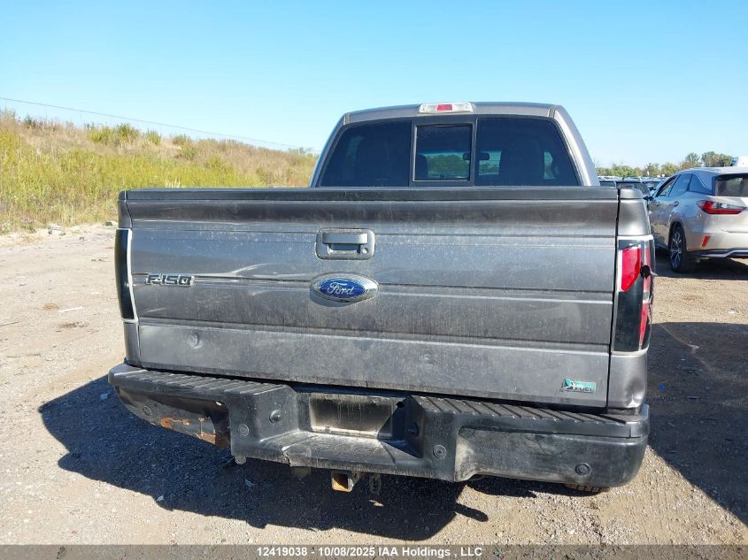 2010 Ford F-150 VIN: 1FTFW1EV0AFD44753 Lot: 12419038