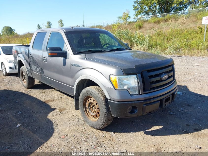 2010 Ford F-150 VIN: 1FTFW1EV0AFD44753 Lot: 12419038