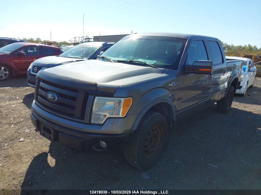 2010 Ford F-150 VIN: 1FTFW1EV0AFD44753 Lot: 12419038