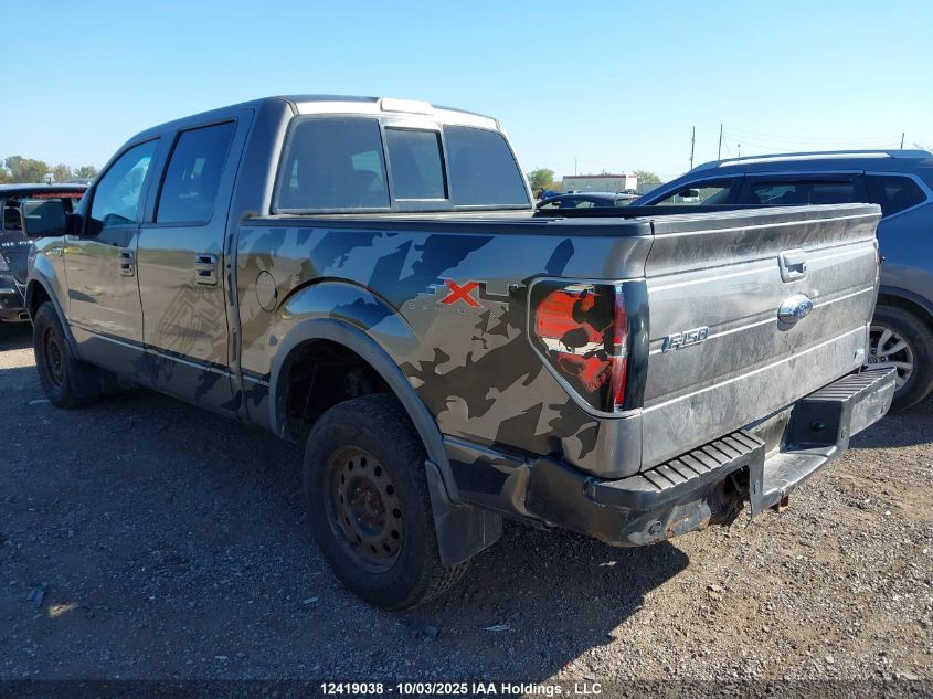 2010 Ford F-150 VIN: 1FTFW1EV0AFD44753 Lot: 12419038