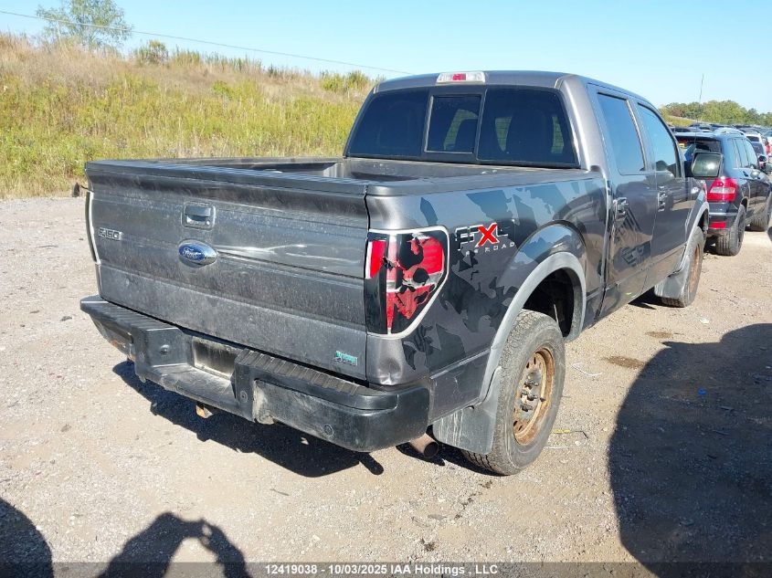 2010 Ford F-150 VIN: 1FTFW1EV0AFD44753 Lot: 12419038