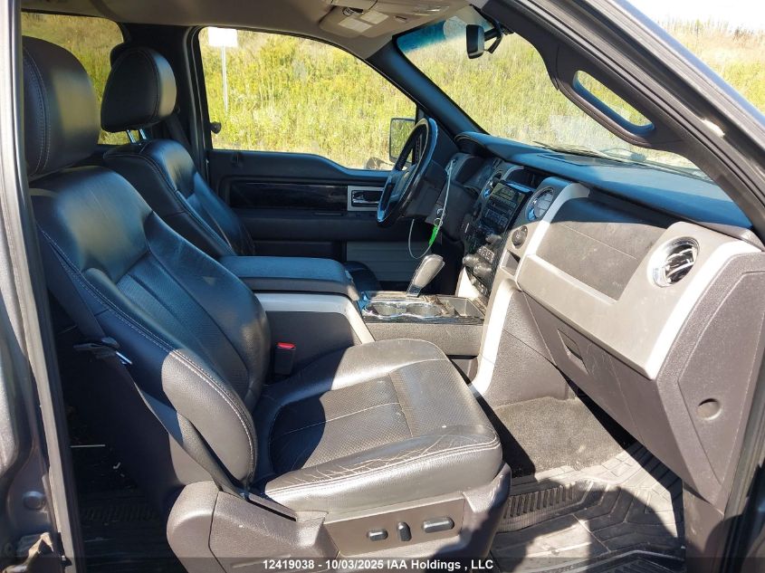 2010 Ford F-150 VIN: 1FTFW1EV0AFD44753 Lot: 12419038