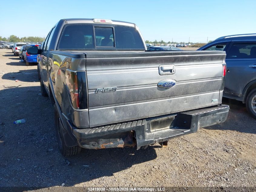 2010 Ford F-150 VIN: 1FTFW1EV0AFD44753 Lot: 12419038