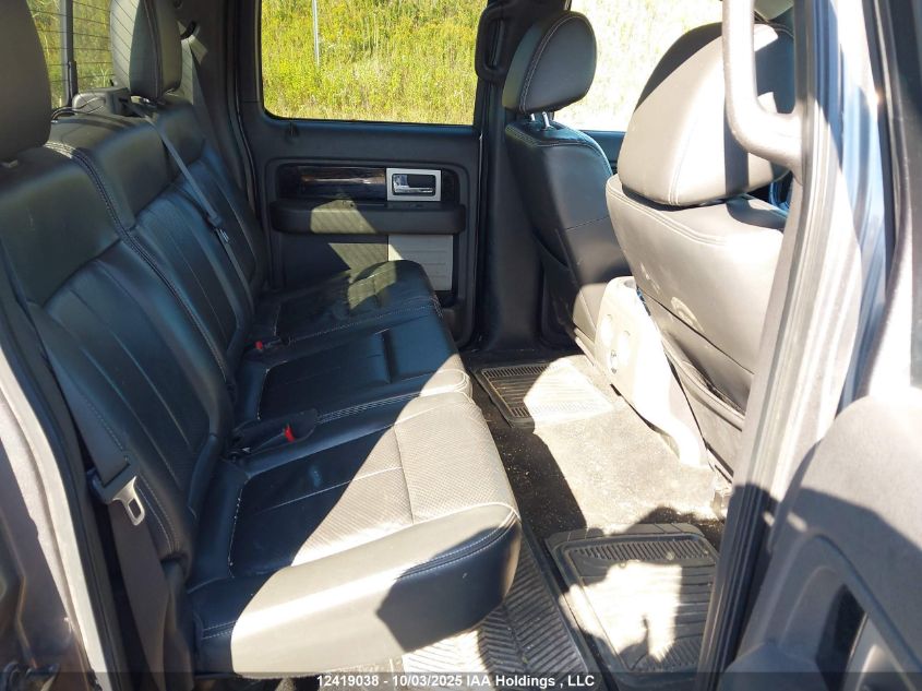 2010 Ford F-150 VIN: 1FTFW1EV0AFD44753 Lot: 12419038