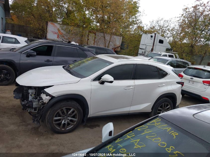 2019 Lexus Nx 300 VIN: JTJBARBZ5K2183020 Lot: 12419053
