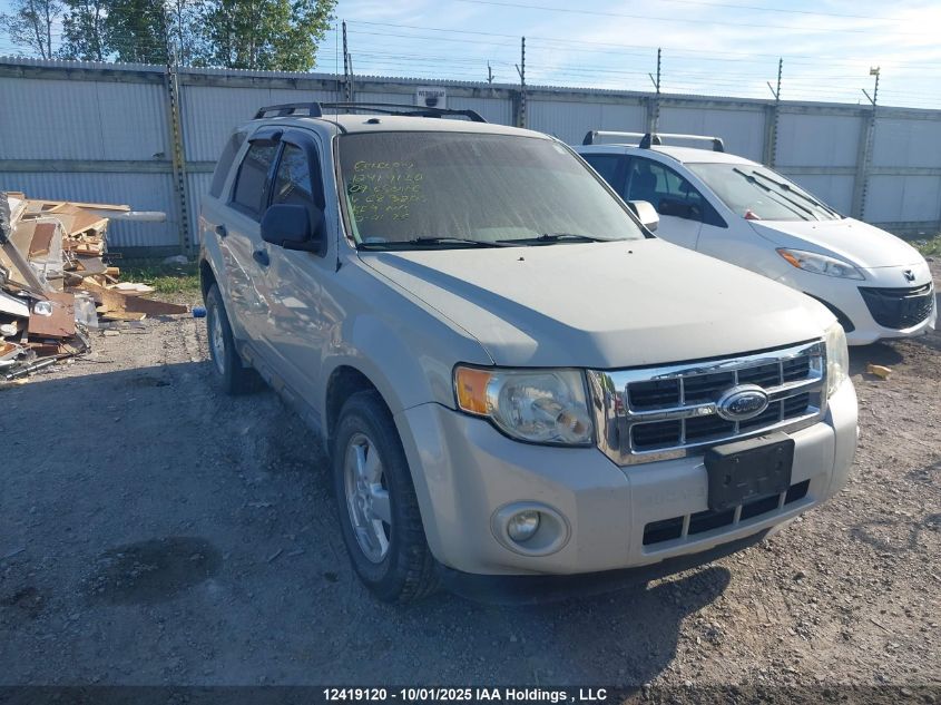 2009 Ford Escape Xlt VIN: 1FMCU03G89KC83805 Lot: 12419120