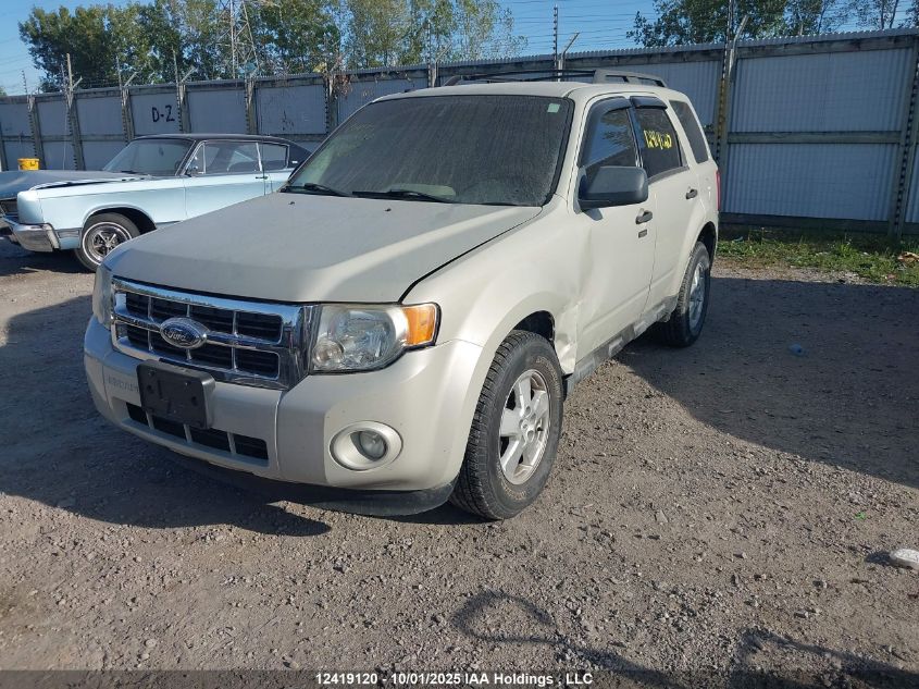 2009 Ford Escape Xlt VIN: 1FMCU03G89KC83805 Lot: 12419120