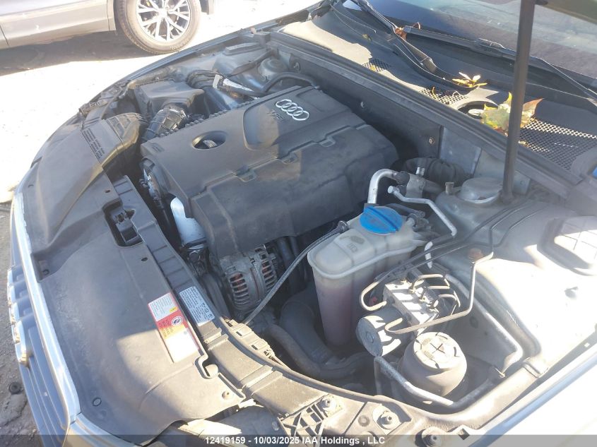 2010 Audi A4 Premium Plus VIN: WAUFFCFLXAN003176 Lot: 12419159