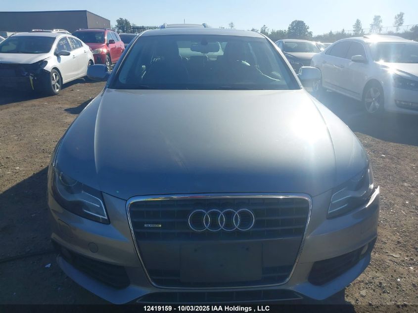 2010 Audi A4 Premium Plus VIN: WAUFFCFLXAN003176 Lot: 12419159