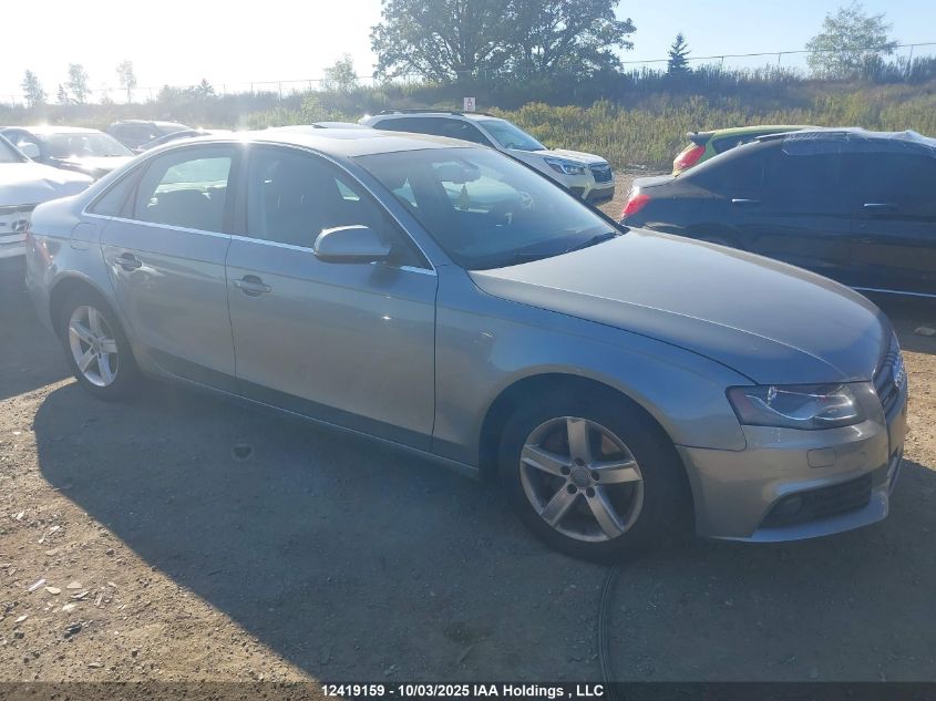 2010 Audi A4 Premium Plus VIN: WAUFFCFLXAN003176 Lot: 12419159