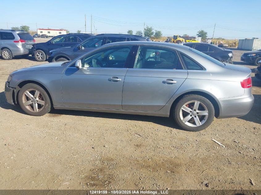 2010 Audi A4 Premium Plus VIN: WAUFFCFLXAN003176 Lot: 12419159