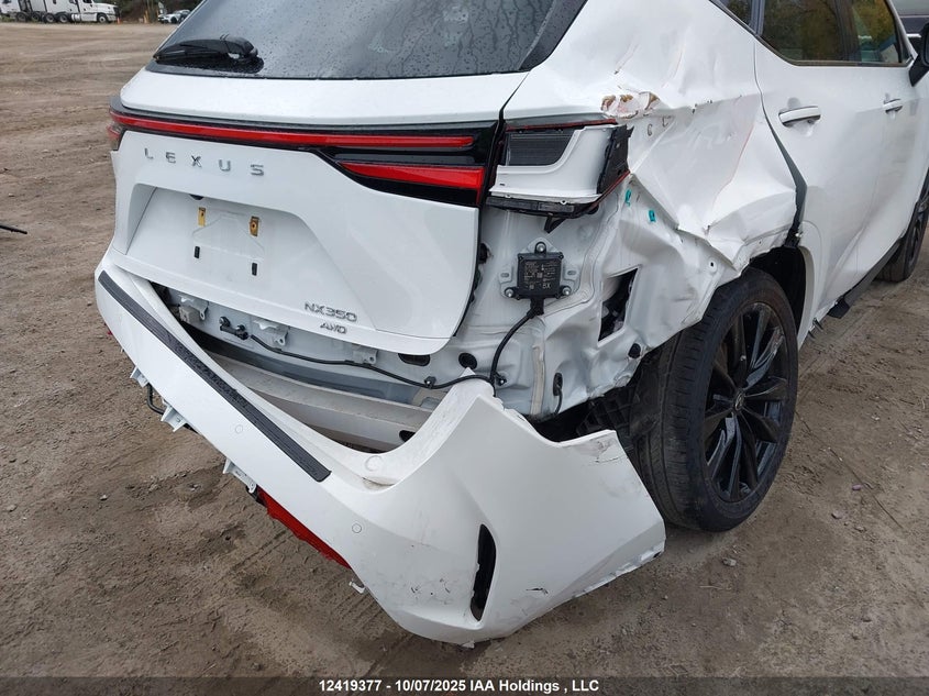 2T2KGCEZ4RC045440 2024 LEXUS NX photo no. 6