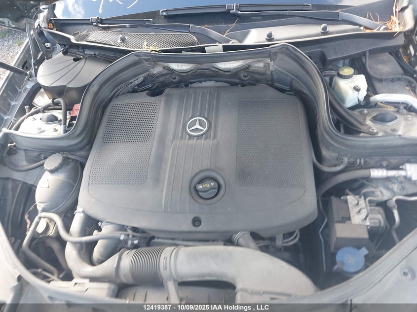 WDCGG0EB8EG295099 2014 MERCEDES-BENZ  photo no. 10