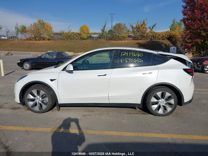 2022 Tesla Model Y Long Range VIN: 7SAYGAEEXNF570656 Lot: 12419640