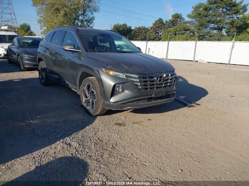 2022 Hyundai Tucson Ultimate Hybrid Awd VIN: KM8JCCA19NU050170 Lot: 12419837