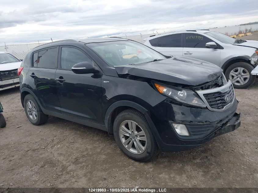 2013 Kia Sportage Lx VIN: KNDPBCA24D7459619 Lot: 12419983