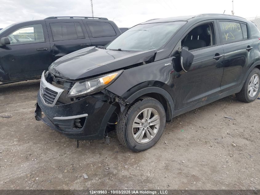 2013 Kia Sportage Lx VIN: KNDPBCA24D7459619 Lot: 12419983