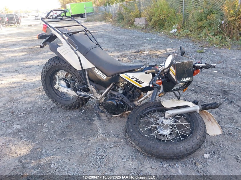 JYA3AWN00KA162970 2019 YAMAHA TW photo no. 1