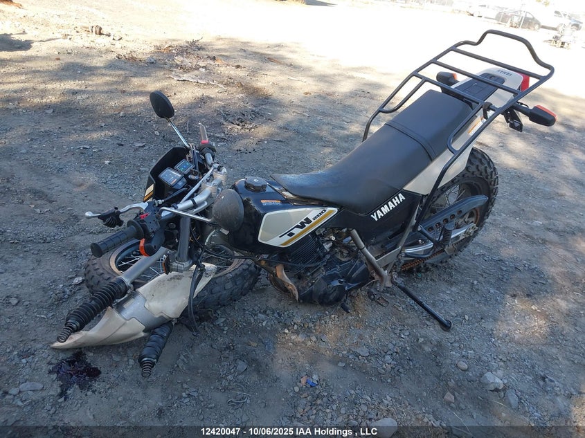 JYA3AWN00KA162970 2019 YAMAHA TW photo no. 2