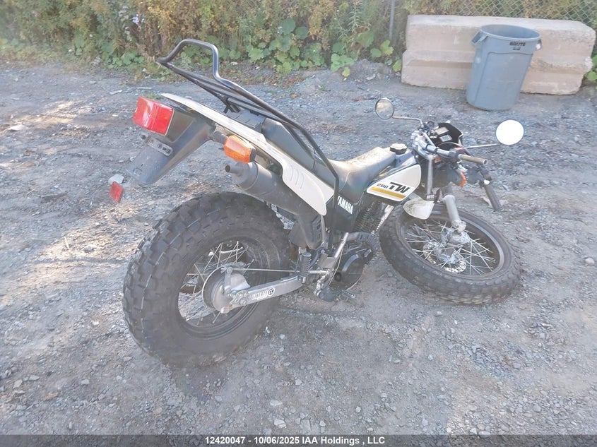 JYA3AWN00KA162970 2019 YAMAHA TW photo no. 4