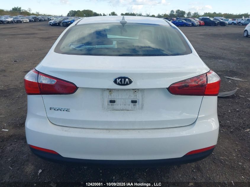 2014 Kia Forte 1.8L Lx/1.8L Lx+/1.8L Se VIN: KNAFX4A64E5069376 Lot: 12420081