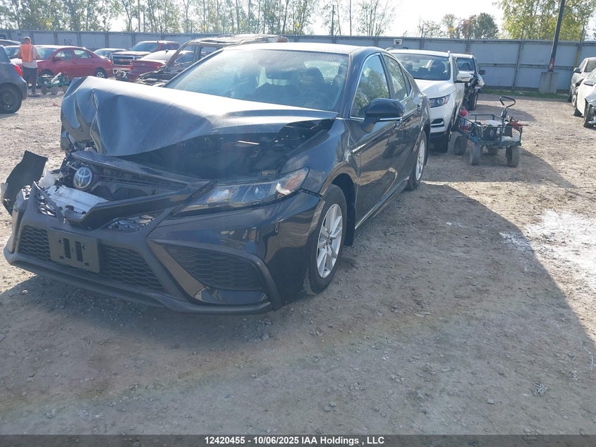 2023 Toyota Camry VIN: 4T1G11AK7PU770079 Lot: 12420455