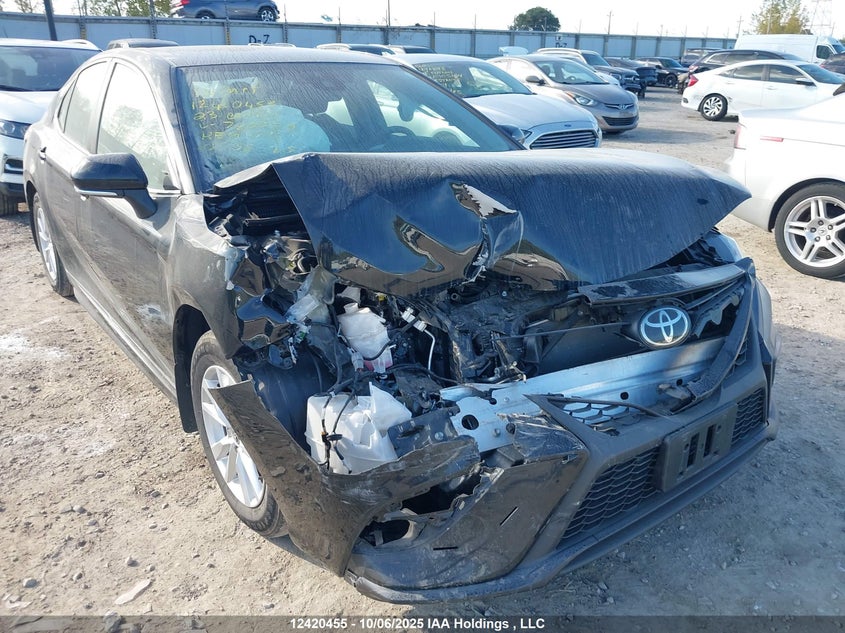 2023 Toyota Camry VIN: 4T1G11AK7PU770079 Lot: 12420455