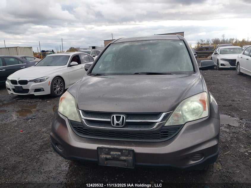 5J6RE4H36AL809432 2010 HONDA CR-V photo no. 12