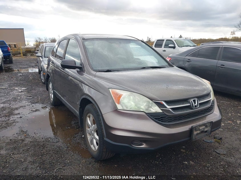 5J6RE4H36AL809432 2010 HONDA CR-V photo no. 20