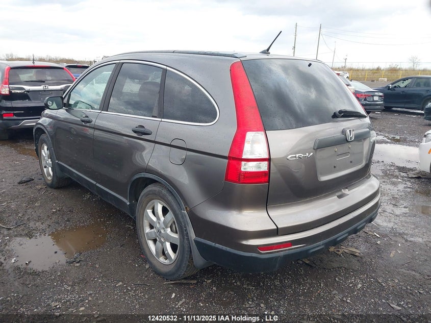5J6RE4H36AL809432 2010 HONDA CR-V photo no. 3